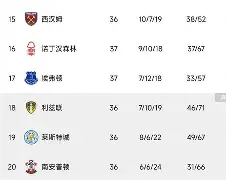 埃弗顿保级仍是主题的简单介绍